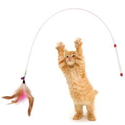 Cat Toy Stick