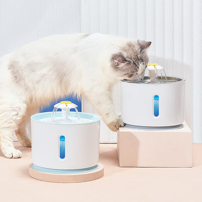 Cat Water Fountain