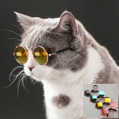 Pet Cat Glasses